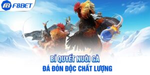 Bí quyết nuôi gà đá đòn độc chất lượng