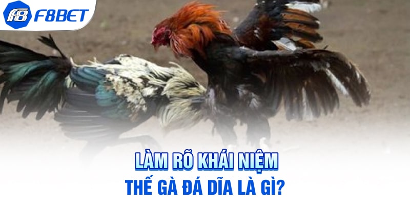 Làm rõ khái niệm thế gà đá dĩa là gì?