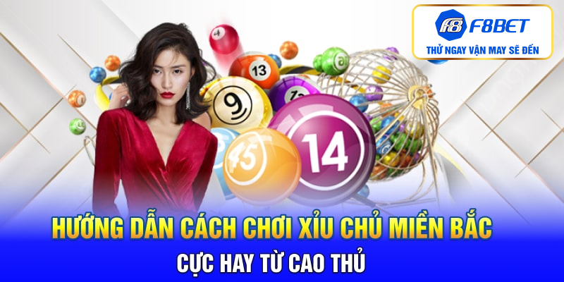 Hướng dẫn cách soi cầu xỉu chủ miền Bắc cực chuẩn